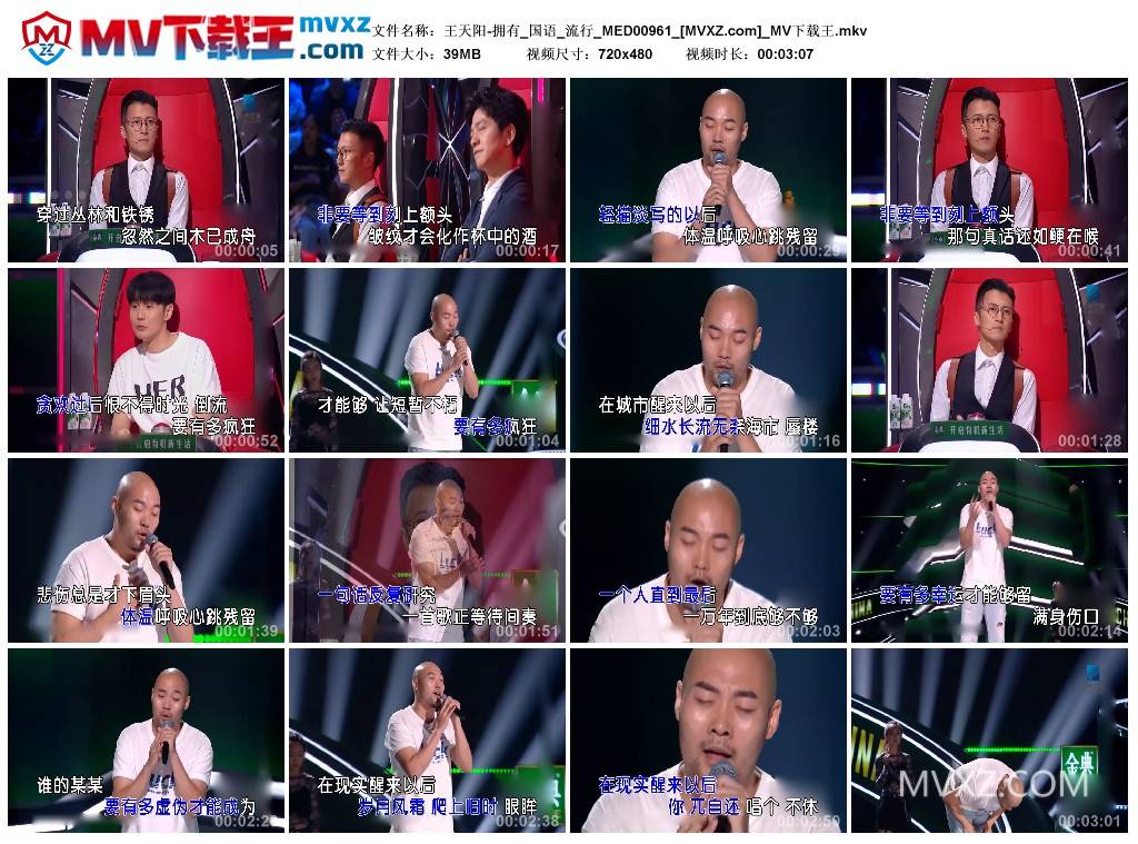 王天阳-拥有_国语_流行_MED00961